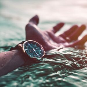 Image with missing alt attribute found on pakwatchcollector.com