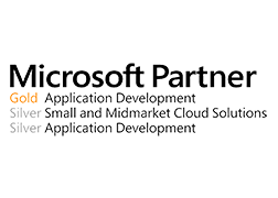 Image with missing alt attribute found on paladinpos.com