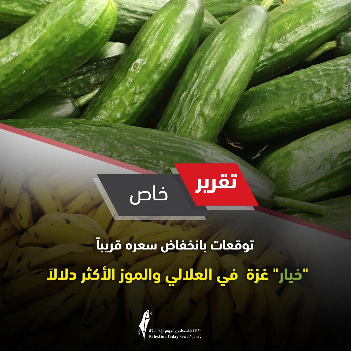 Image with missing alt attribute found on paltoday.ps