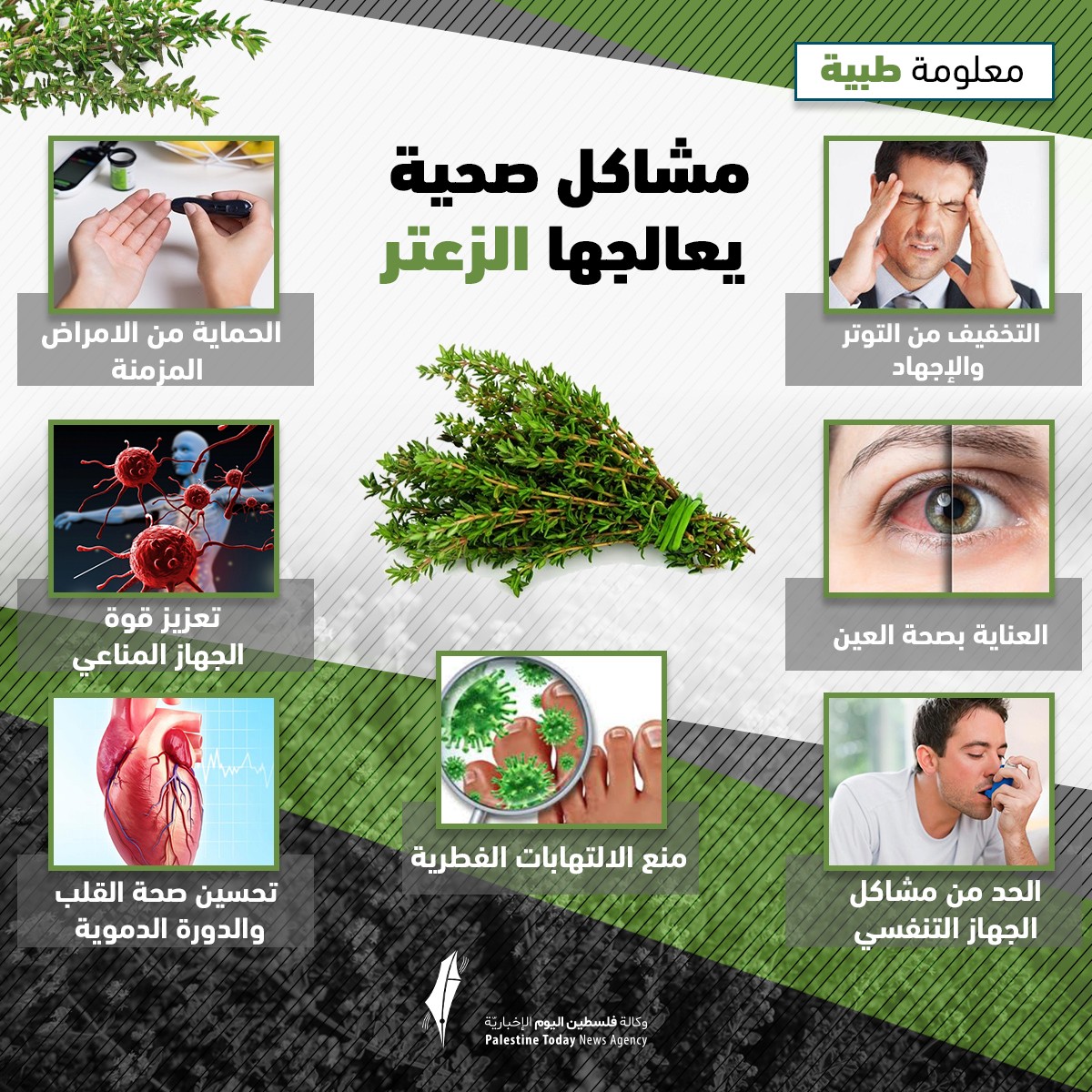 Image with missing alt attribute found on paltoday.ps