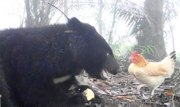 Image with missing alt attribute found on pansci.asia