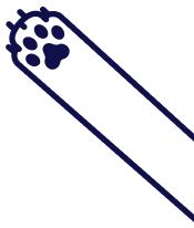 Image with missing alt attribute found on pawlly.iqonic.design