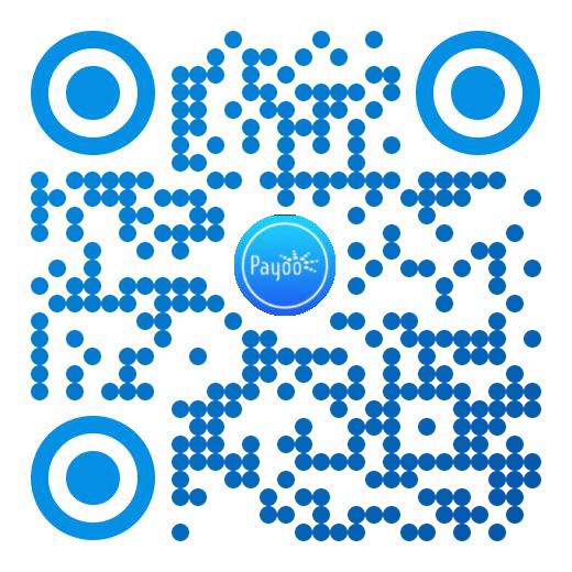 Image with missing alt attribute found on payoo.vn