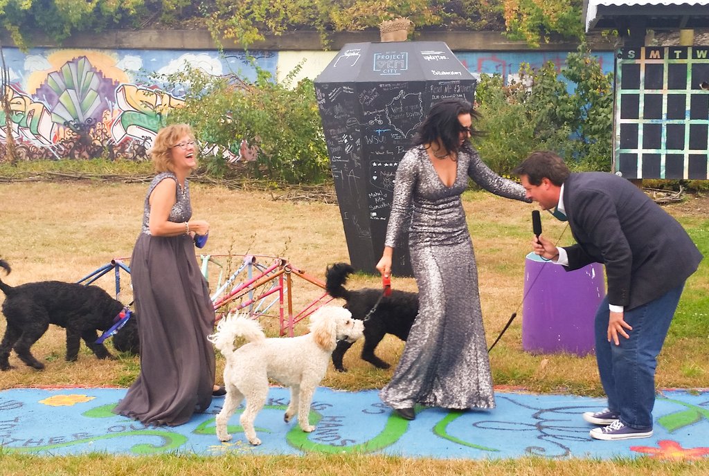 Image with missing alt attribute found on localstack.com