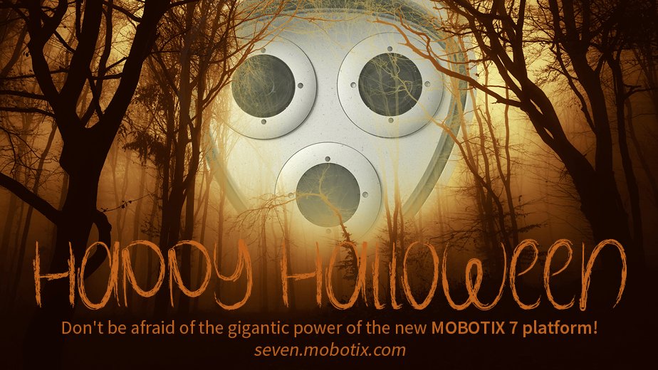 Image with missing alt attribute found on mobotix.com