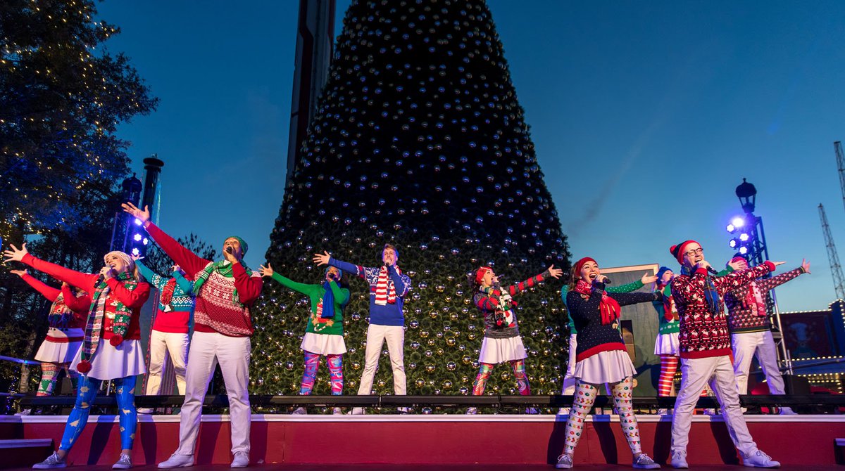 Image with missing alt attribute found on carowinds.com