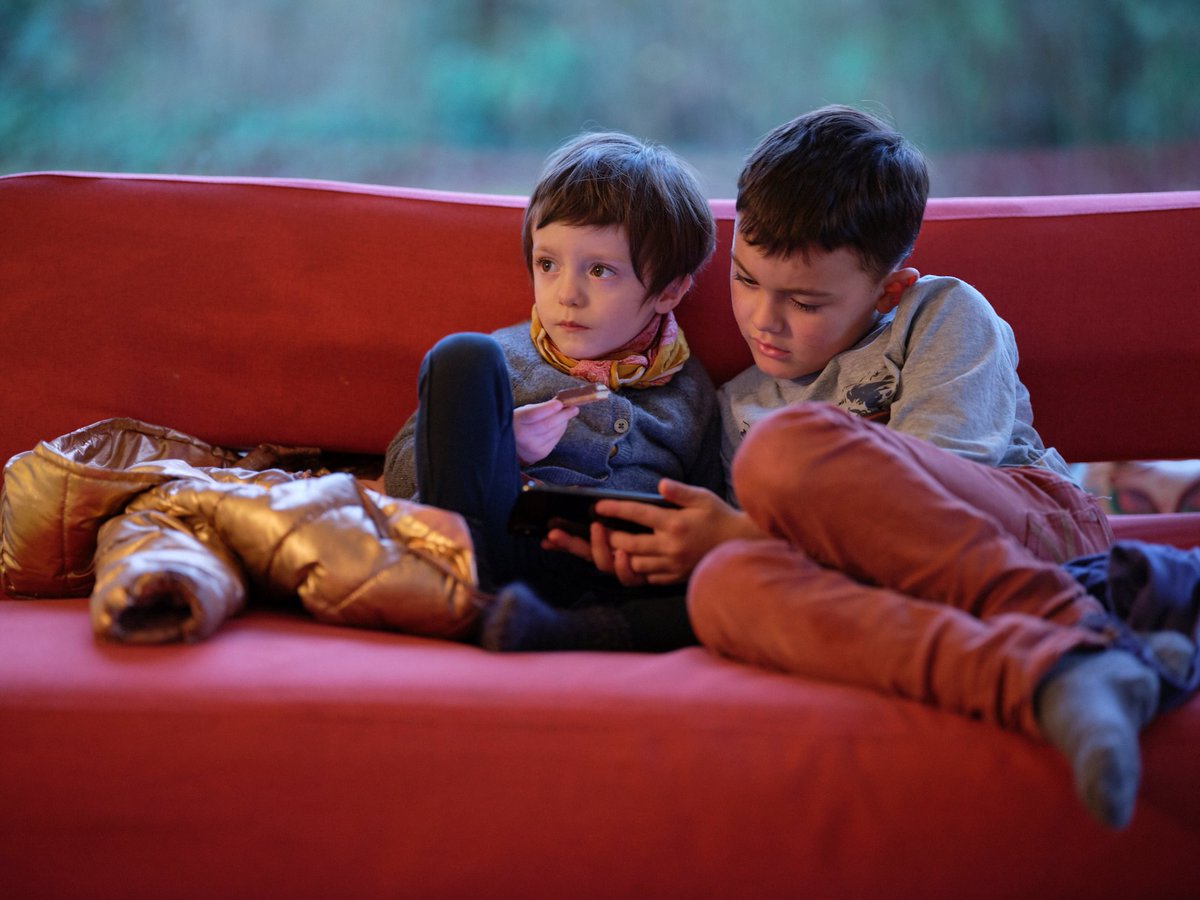 Image with missing alt attribute found on coe.int