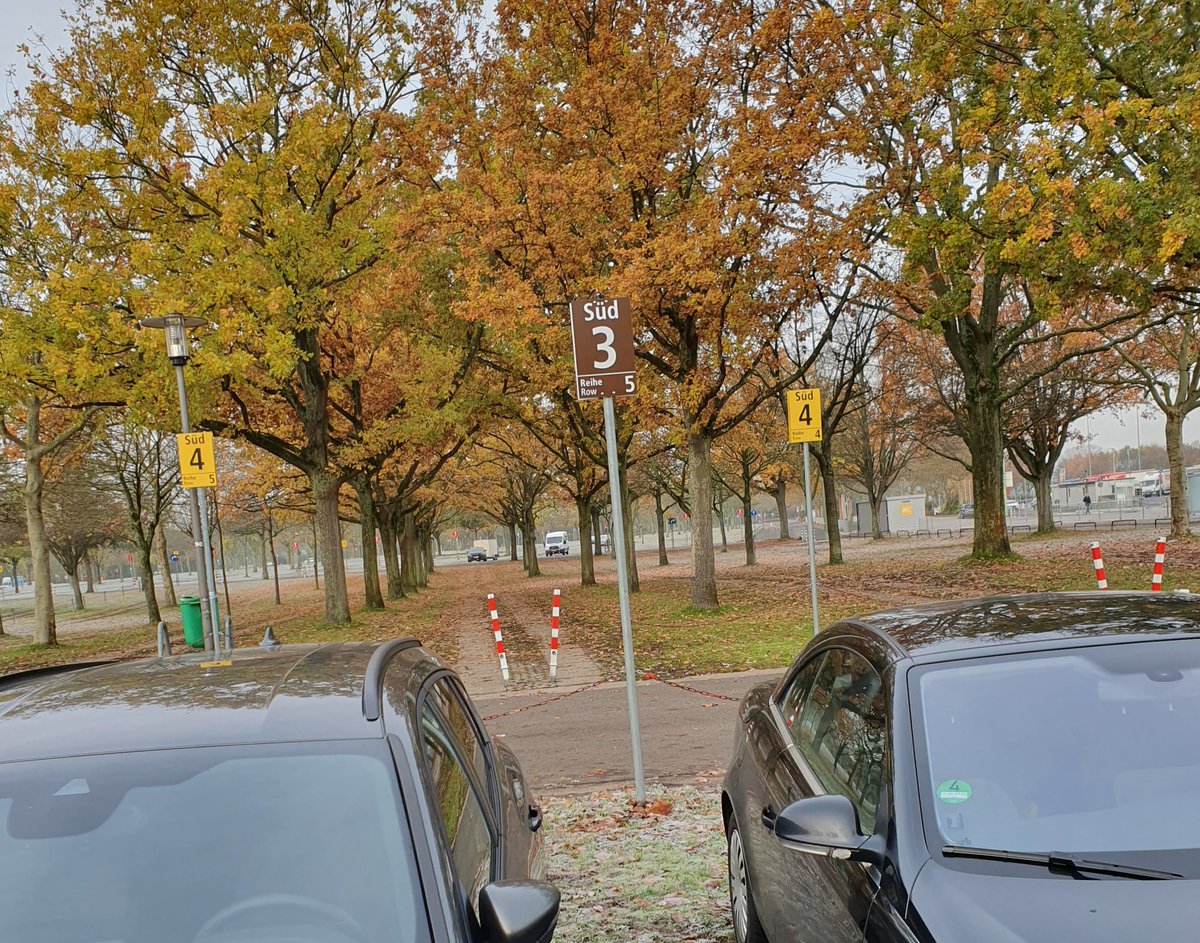 No photo description available