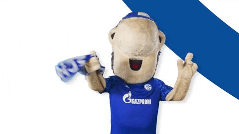 Image with missing alt attribute found on schalke04.de