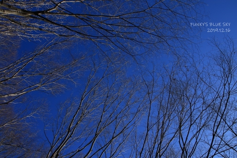 Image with missing alt attribute found on exblog.jp