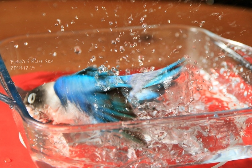 Image with missing alt attribute found on exblog.jp