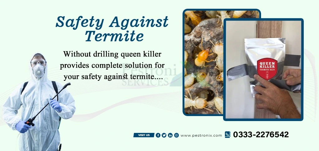 Image with missing alt attribute found on pestronix.com