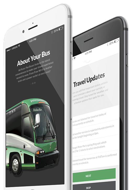 Image with missing alt attribute found on peterpanbus.com