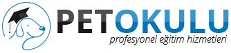 köpek eğitim merkezi