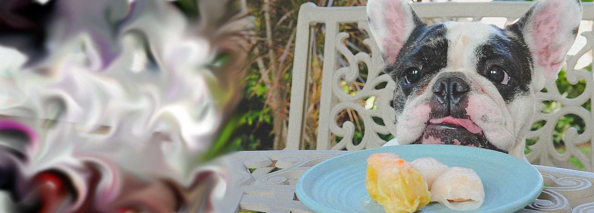 Image with missing alt attribute found on petokulu.com