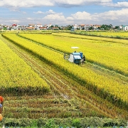 cho chinh sach dat dai giup nong nghiep but pha