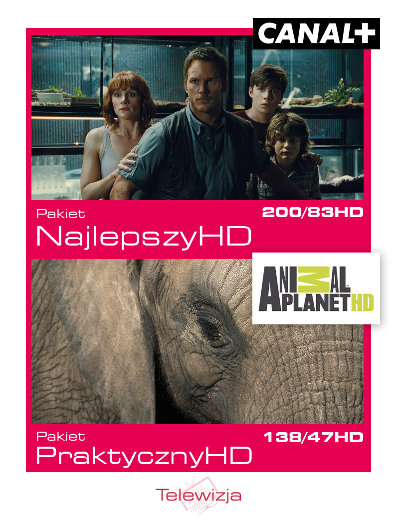 Oferta: Telewizja HD