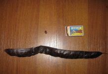 Image with missing alt attribute found on botanichka.ru