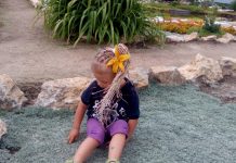 Image with missing alt attribute found on botanichka.ru