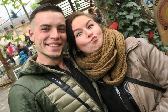 Image with missing alt attribute found on freiepresse.de