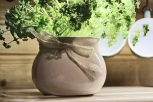 Image with missing alt attribute found on pietruszewzgorze.pl