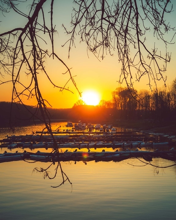 harbour, spectacular, sunset, majestic, sun, sunrays, boats, twilight, backlight, dawn
