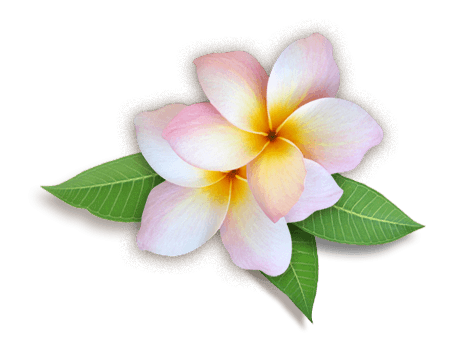 Flower PNG