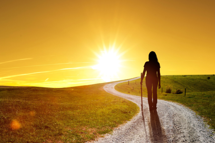 Image with missing alt attribute found on praveensaanker.ae