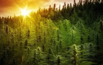 Image with missing alt attribute found on prnewsonline.com