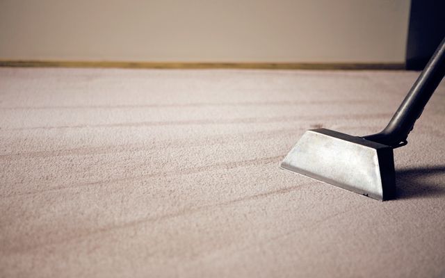 Carpet Cleaning