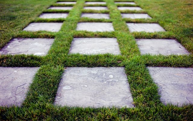 Lawn Mowing and Trimming