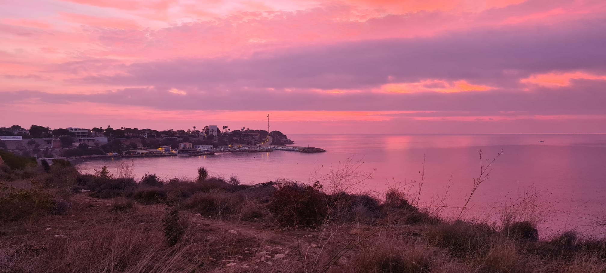 Image with missing alt attribute found on property.theleader.info