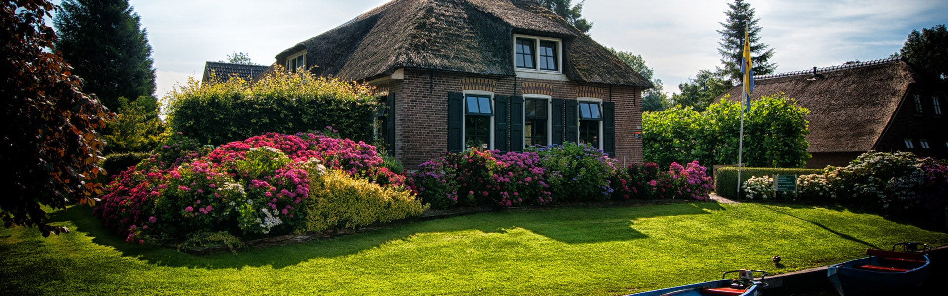 Proteus WiFi Motion Sensor Email Text message alerts No monthly Fees