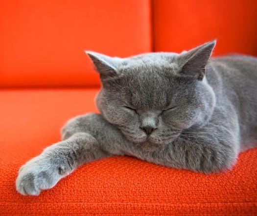 Image with missing alt attribute found on topix.com