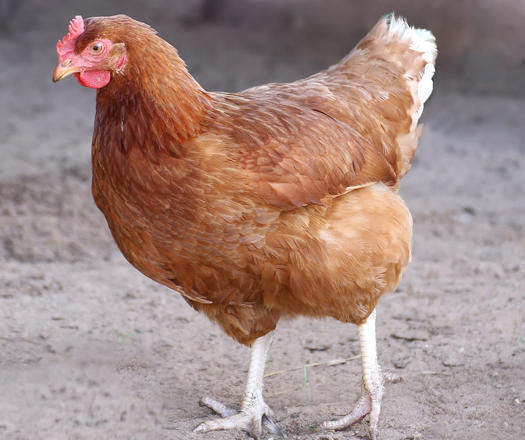 Image with missing alt attribute found on topix.com