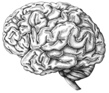 Image with missing alt attribute found on puneetsakhuja.com