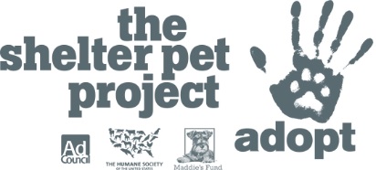www.theshelterpetproject.org