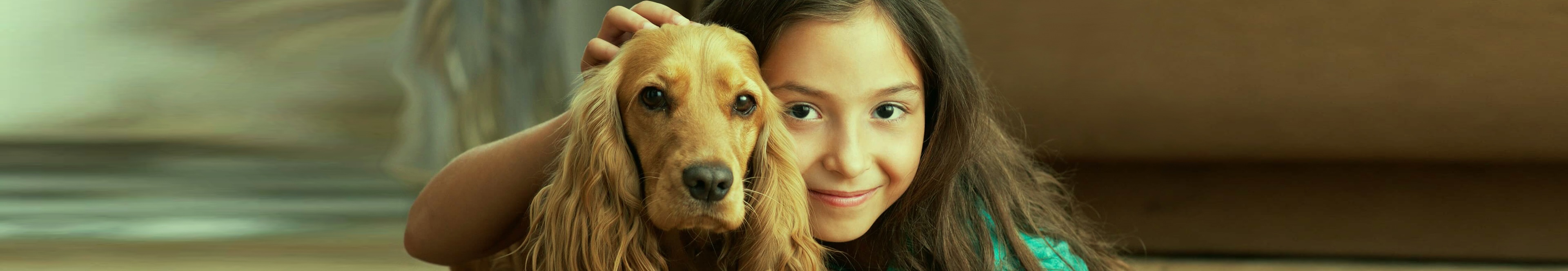 Image with missing alt attribute found on puppyfinder.com