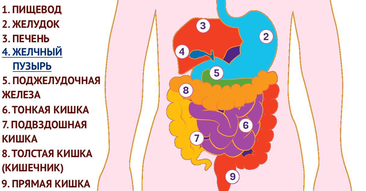 Image with missing alt attribute found on puzyr.info
