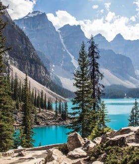 Image with missing alt attribute found on pvtistes.net