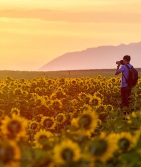 Image with missing alt attribute found on pvtistes.net