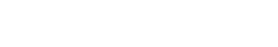 Escort Service in Delhi