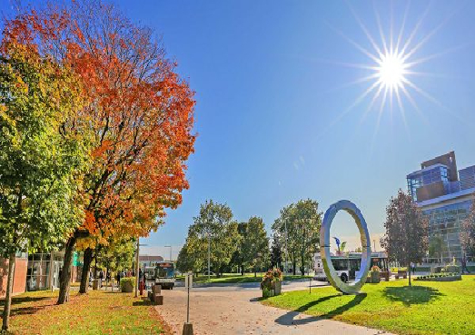 Image with missing alt attribute found on rahuljindal.ca