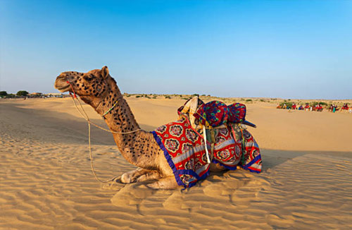 Image with missing alt attribute found on rajasthanindiatourdriver.com