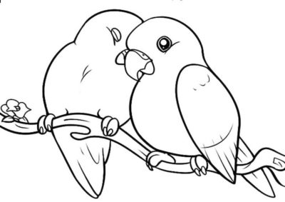 Image with missing alt attribute found on raskrasil.com