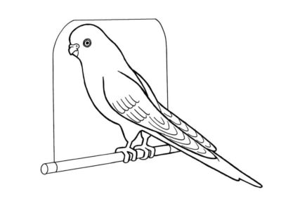 Image with missing alt attribute found on raskrasil.com