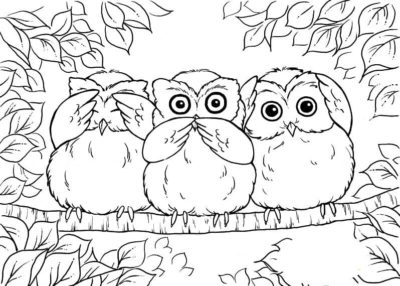 Image with missing alt attribute found on raskrasil.com