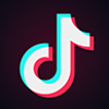 Tiktok downloader