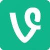 Vine downloader