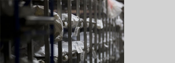 Cad&aacute;veres sin reclamar